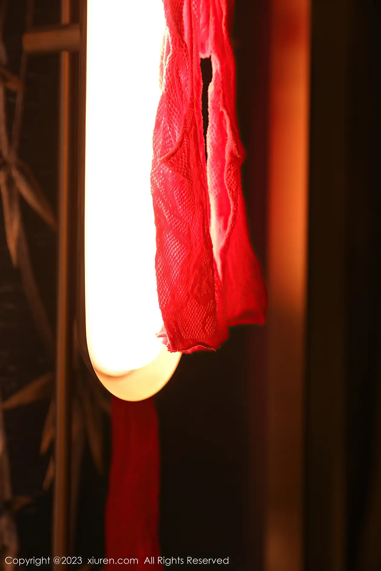 [XiuRen] 2023.07.12 NO.7069 Rich#[82P]-1