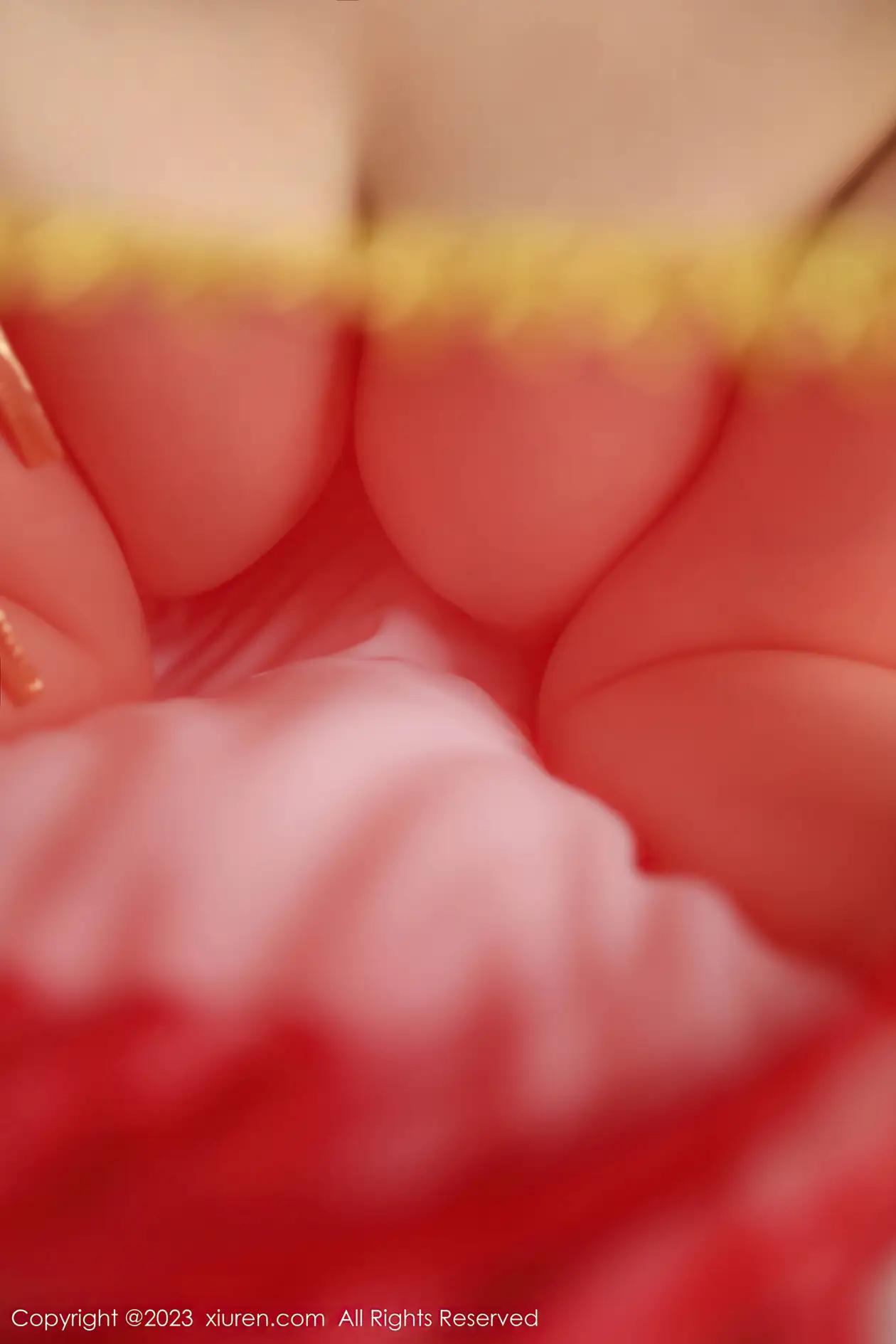 [XiuRen] 2023.07.19 NO.7103 Rich#[74P]-2