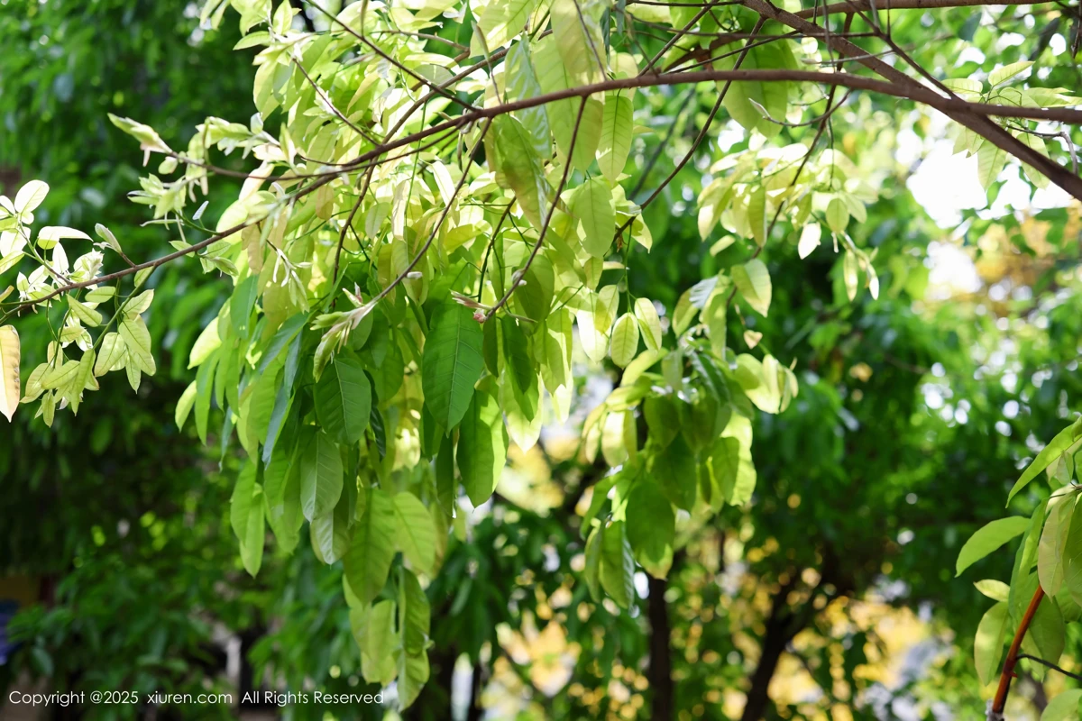 [XiuRen] 2025.05.08 No.10247 #[81P]-3