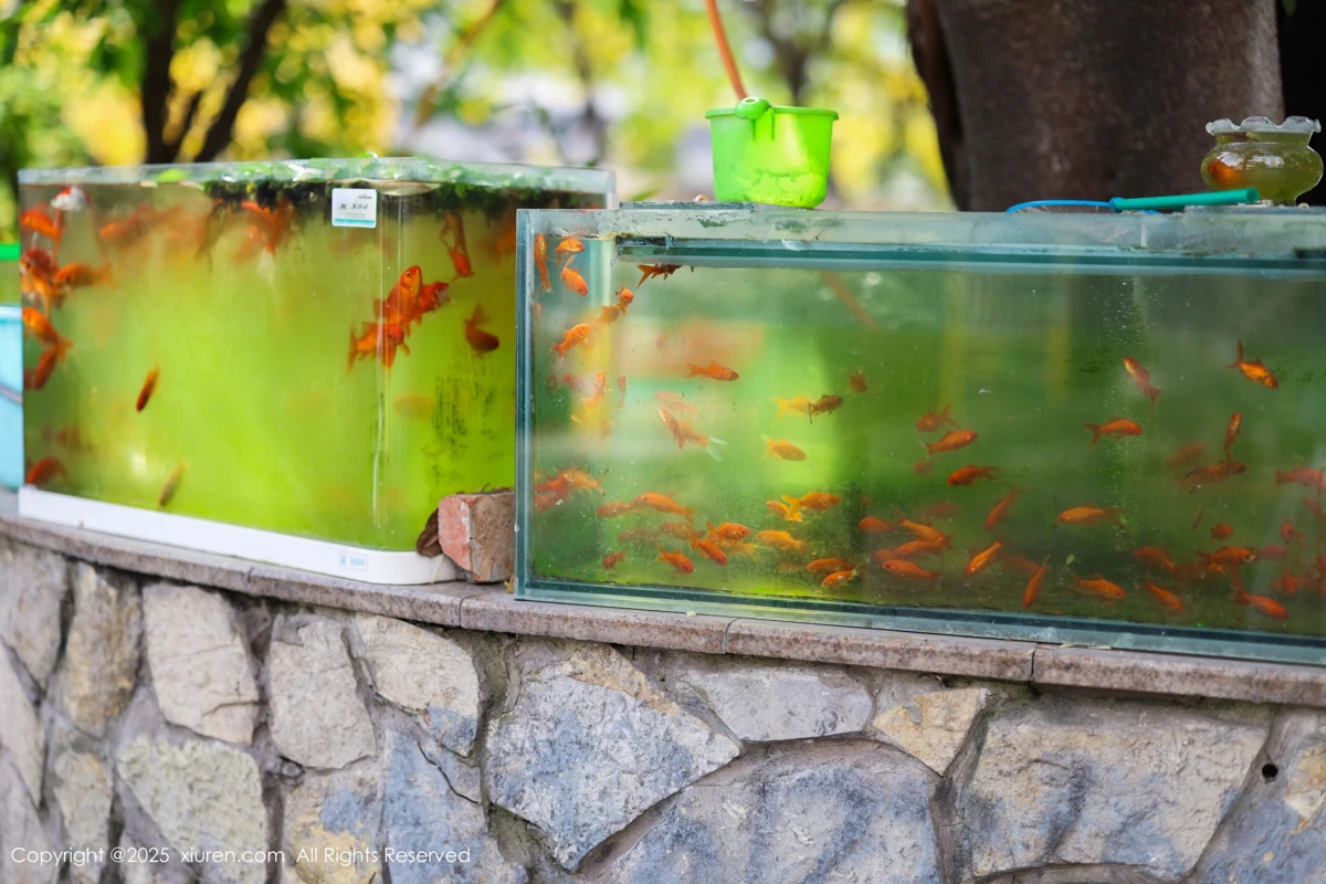 [XiuRen] 2025.05.08 No.10247 #[81P]-2