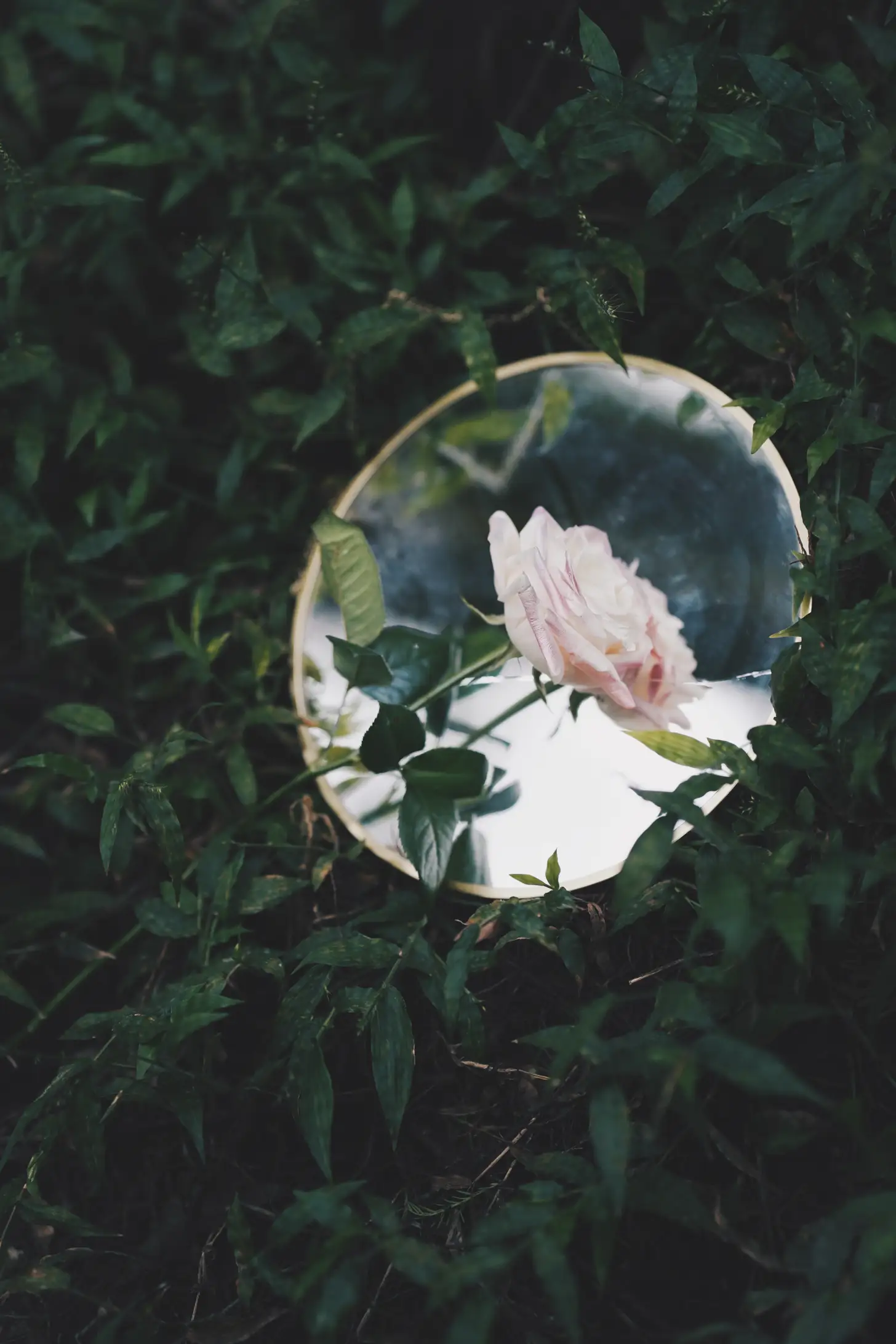 [YITUYU] 2022.05.12 Vol.856 – Breaking into the Misty Forest Rabbit Zzz won't eat carrots#[26P]-6