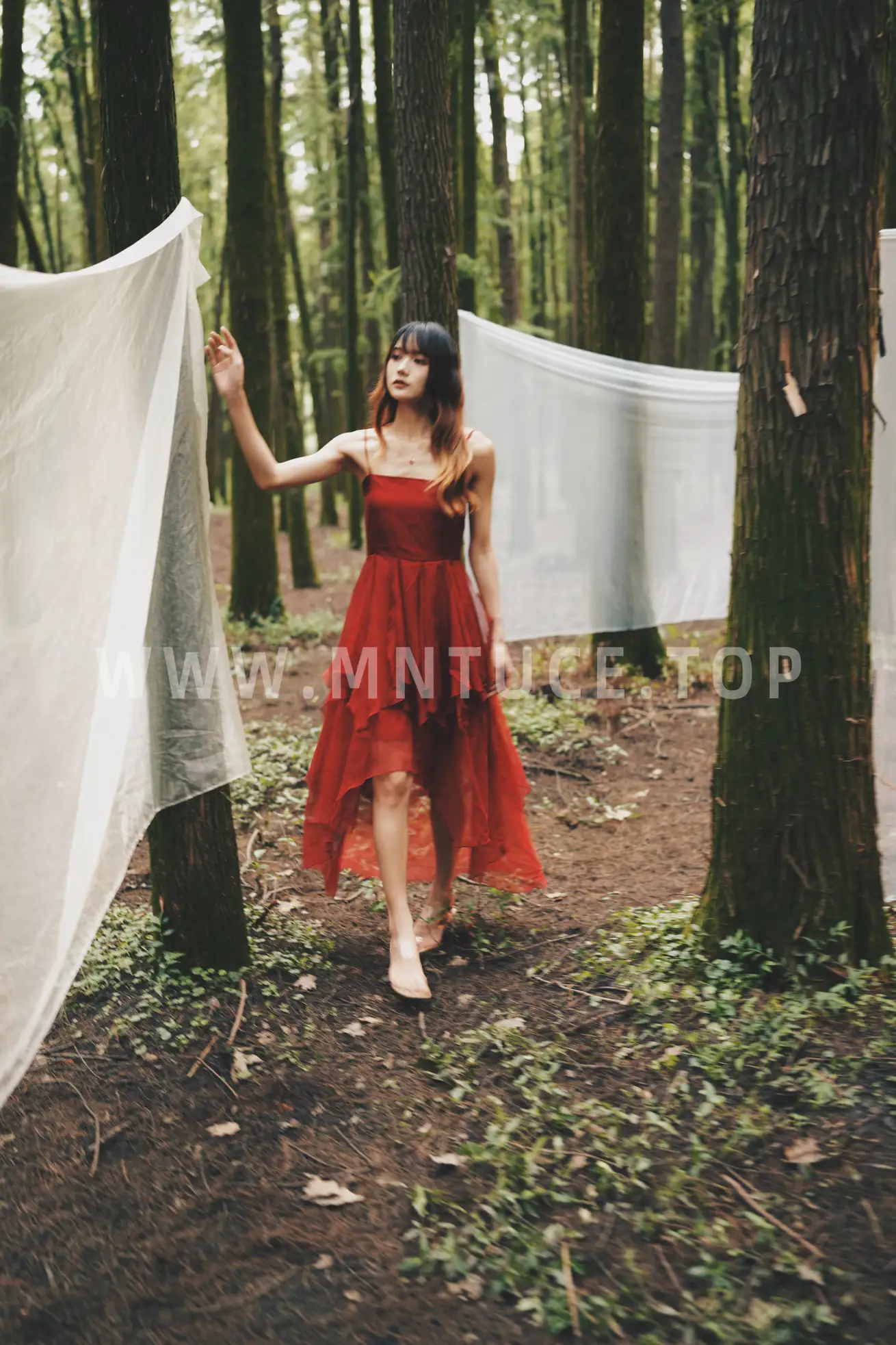 [YITUYU] 2022.05.12 Vol.856 – Breaking into the Misty Forest Rabbit Zzz won't eat carrots#[26P]-10